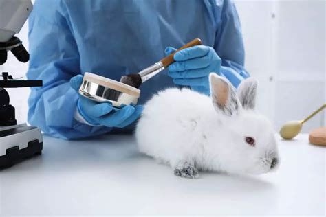 makeup being tested on animals.